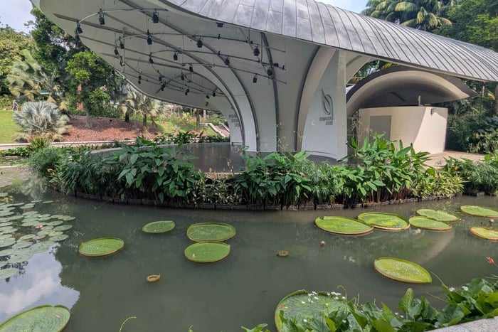Visite privative du Jardin botanique de Singapour et du Jardin des orchidées