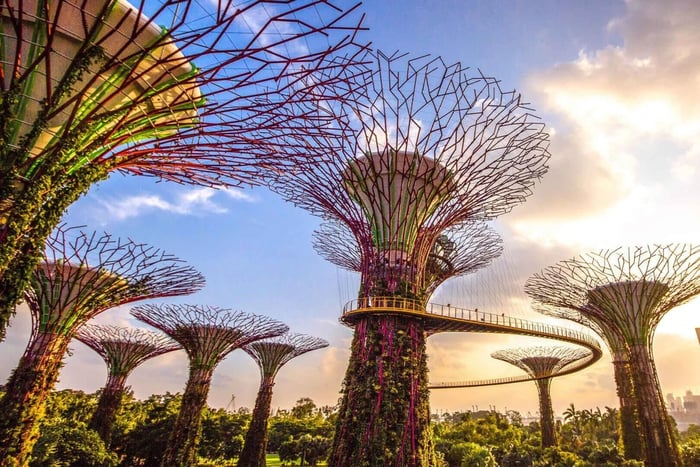 Singapore: Gardens by the Bay Bundel Toegangsbewijs