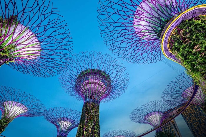 Singapore Marina Bay Night Walk with Spectra & Rhapsody Show