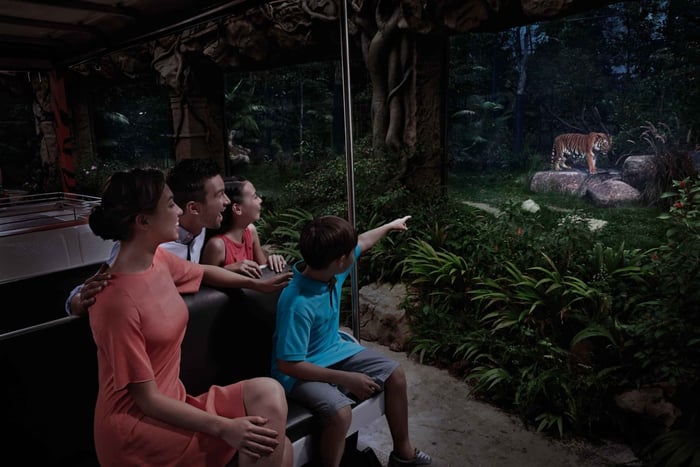 Singapore: Night Safari Entry Ticket with Tram Ride