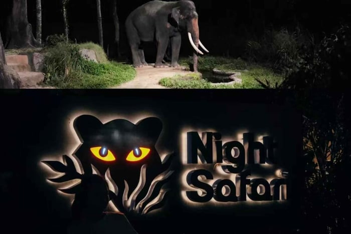 Singapore：Night Safari Entry Ticket