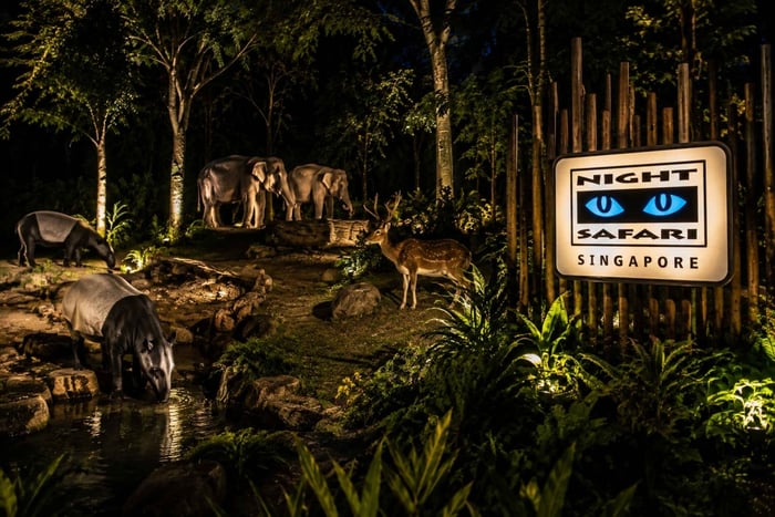 Singapura: Night Safari com Passeio de Bonde, Jantar e Busca no Hotel