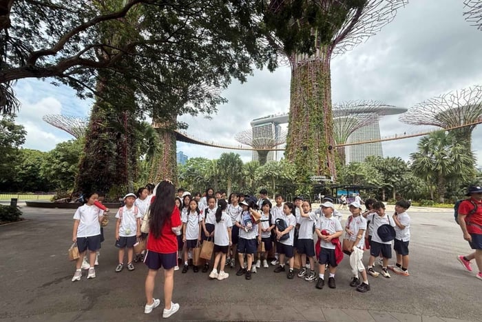 Visite privée de Singapour : joyaux cachés et culture du quotidien