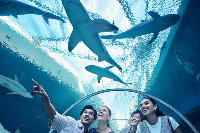 Singapore: Singapore Oceanarium Entrance E-Ticket