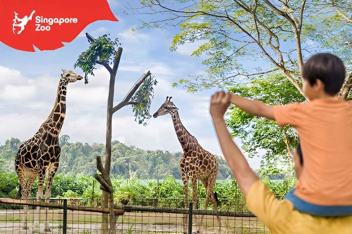 Singapore Zoo: E-biljett för 1-dags inträde