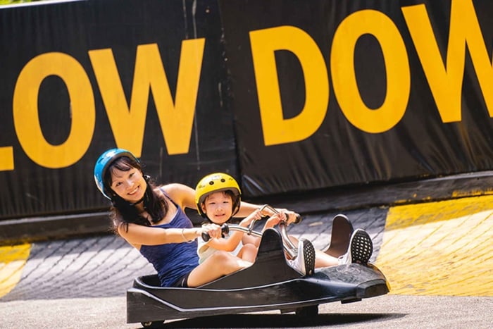 Singapour : Skyline Luge et expérience 4D à AdventureLand