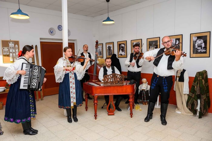 Bratislava: Slovak Folklore Show with Transfer, & Workshop