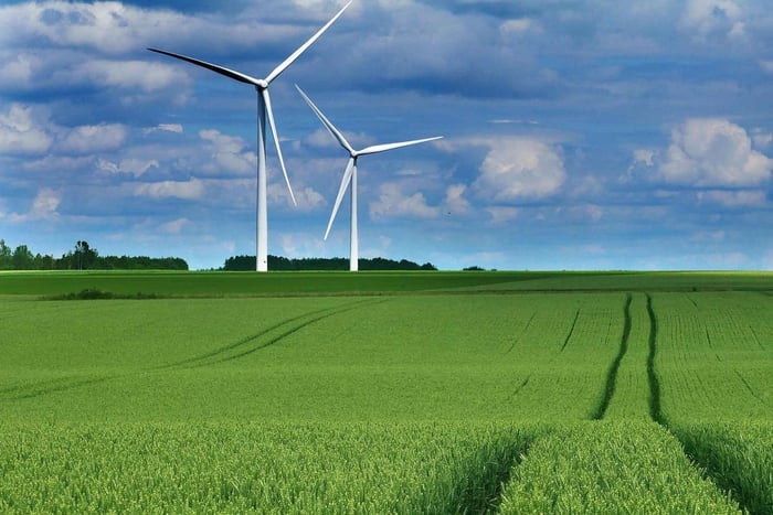 Ab Bratislava: Tour zum Windpark Bruck an der Leitha