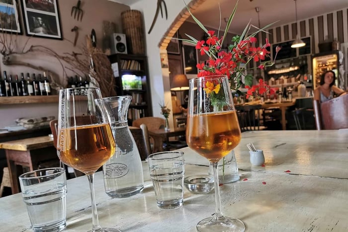 From Bratislava: Organic Wine Tasting in Svaty Jur