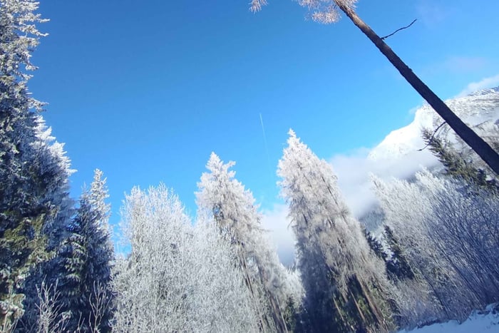 From Kosice: Presov, Spissky Hrad, and Strbske Pleso Tour