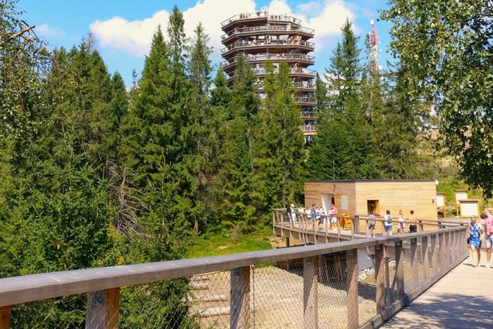 From Krakow: Slovakia Treetop Walk and Zakopane Tour