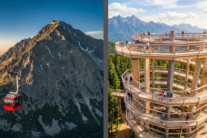 From Zakopane: tree top walk Bachledka + Tatranská Lomnica