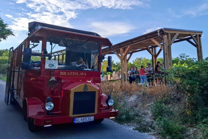 Wycieczka z degustacją win – zabytkowym autobusem po lokalnym regionie winiarskim