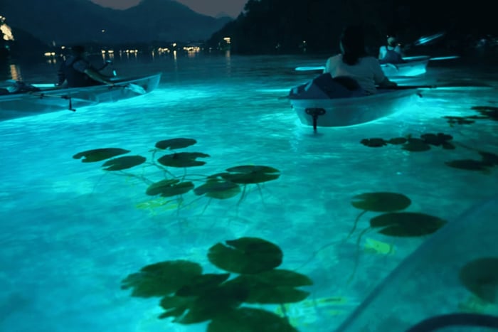 Bled: Tur i gennemsigtig kajak med lokal guide på Bled-søen