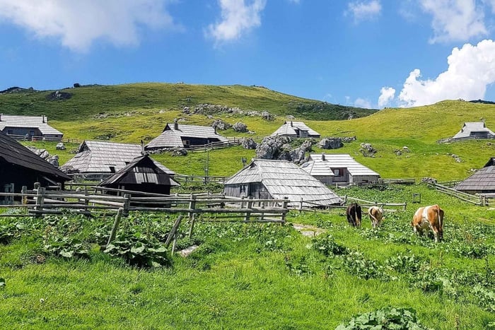 Von Ljubljana: Geführte Wanderung auf die Velika Planina