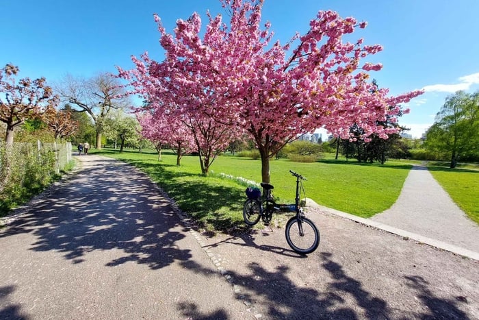 Ljubljana: Leje af elcykel