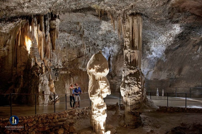 Любляна: Экскурсия в пещеру Постойна и замок Предяма
