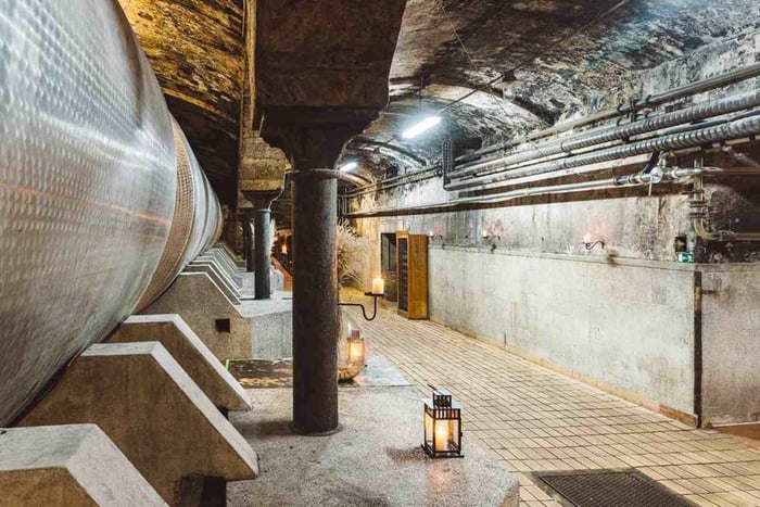 Tours por los viñedos de Maribor y la región de Štajerska
