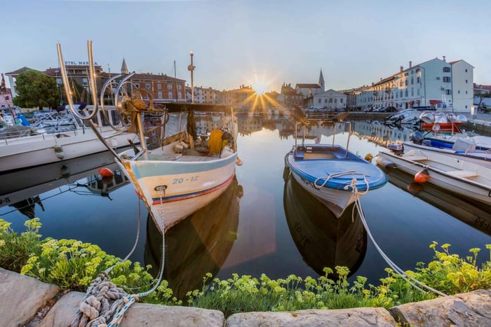 Desde Koper: Tour en autobús por la Riviera eslovena con degustaciones gastronómicas