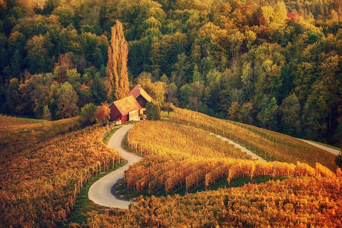 Ljubljana: Maribor & Ptuj: Slovenia’s Oldest Towns Day Tour