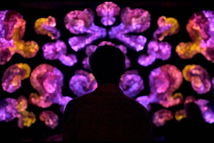 Estocolmo: ticket para la experiencia de arte respiratorio Andetag