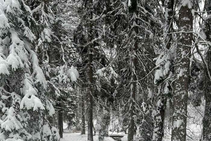 Tukholma: Opastettu perinteinen sauna