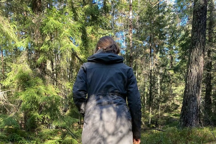 Stockholm, svampe- og vildplantesamlingstur med ekspert