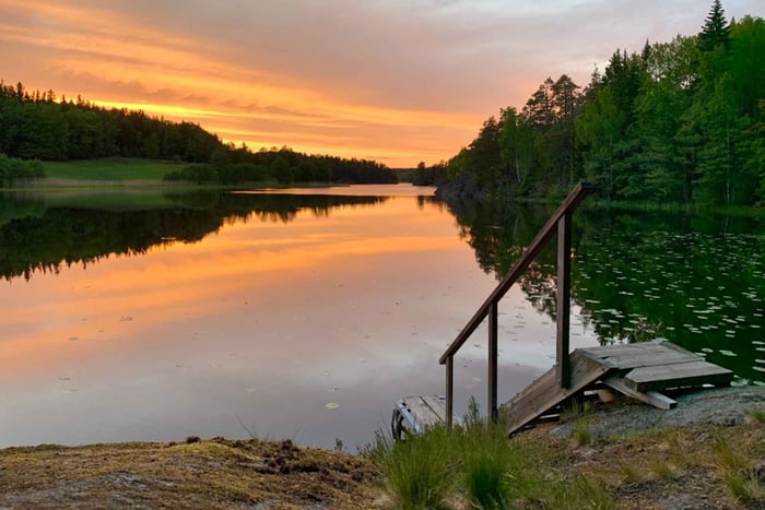 Stockholm: Solnedgångsvandring i Tyresta nationalpark med måltid