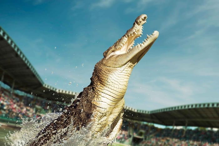 From Sunshine Coast: Australia Zoo Entry Ticket and Transfer