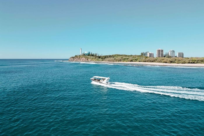 Mooloolaba: Adventure Rafting Turtle Tour
