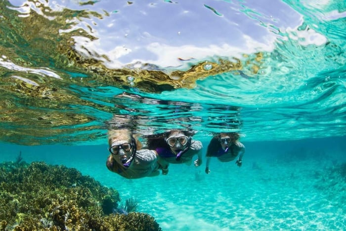 Mooloolaba: Snorkla med sköldpaddor Mudjimba Island