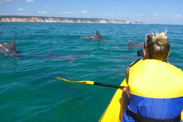 Noosa Excursión en kayak de mar con delfines y en 4x4 por la playa (en el Parque Nacional)