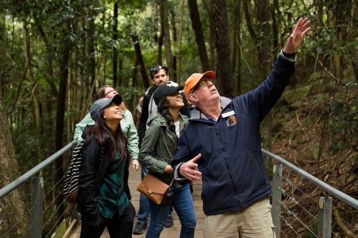 Góry Błękitne: Scenic World, dzikie zwierzęta, wodospad – w małej grupie