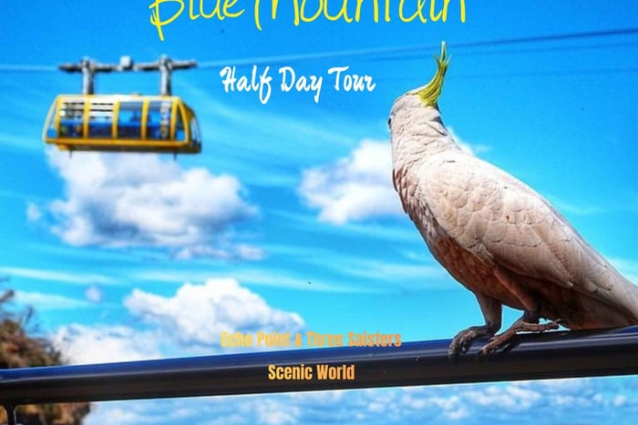 visita di mezza giornata alle Blue Mountains, guida inglese, no mance
