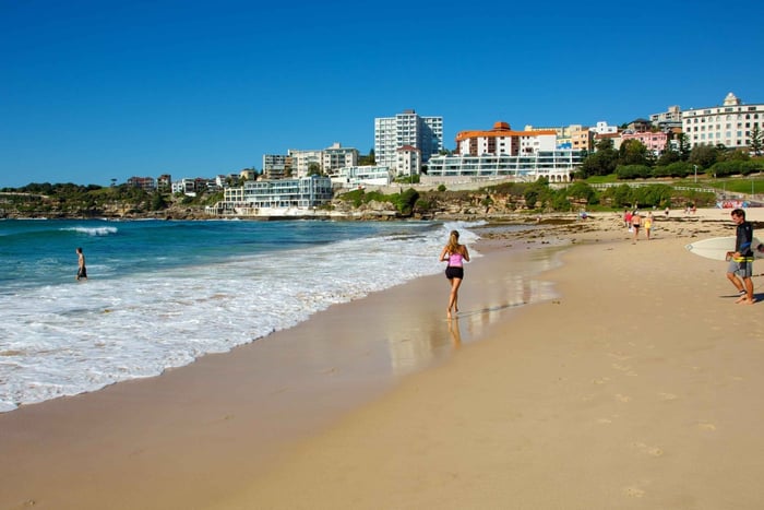 Från Sydney: Heldagstur till Golden Beaches och Ocean Vista