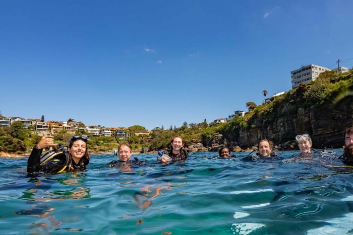 Tour guiado de snorkel na praia mais icônica da Austrália