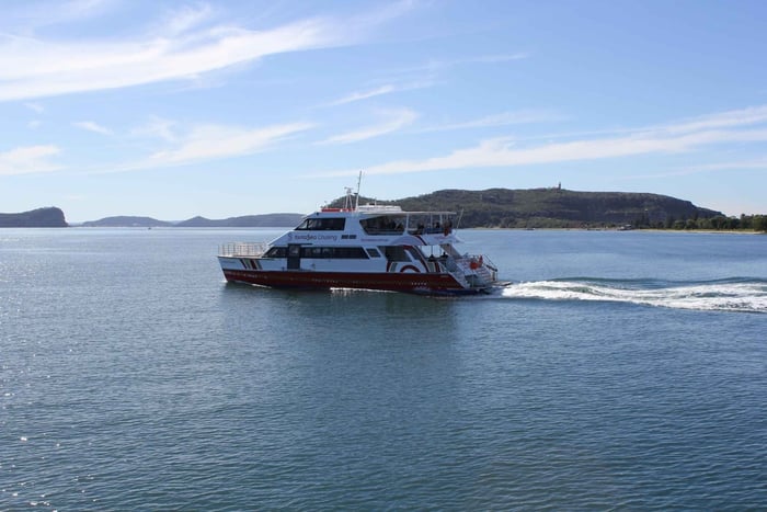 Palm Beach Harbour Hopper 24 tunnin tai 48 tunnin risteilypassi