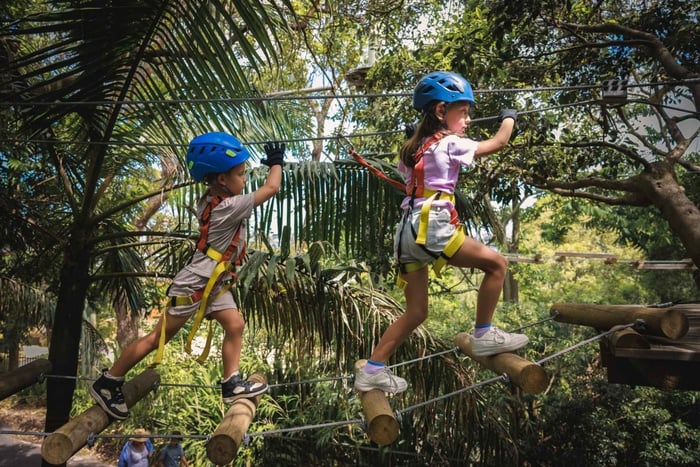 Pennant Hills: Junior Touwenparcours in bomen