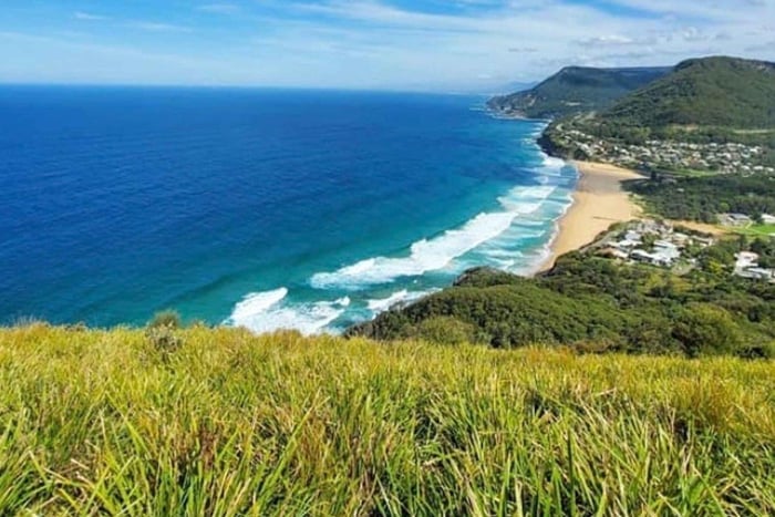 Privat rundtur till Jervis Bay och sydkusten