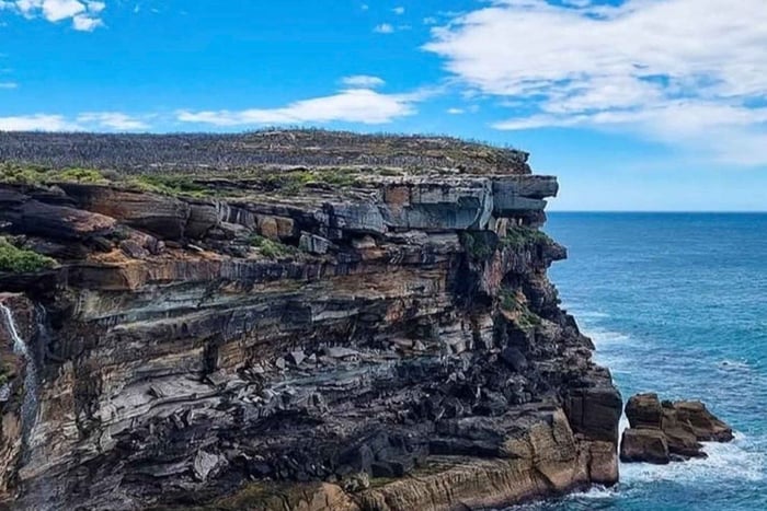 Privat dagsutflykt till Royal National Park med upphämtning