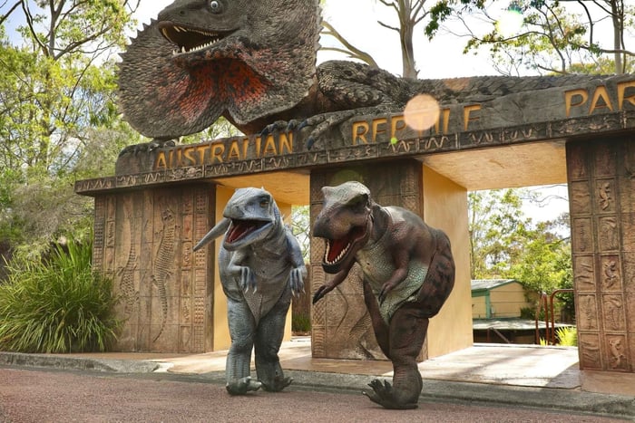 Sydney: Reptile Park and Avoca Beach Day Trip with Entry