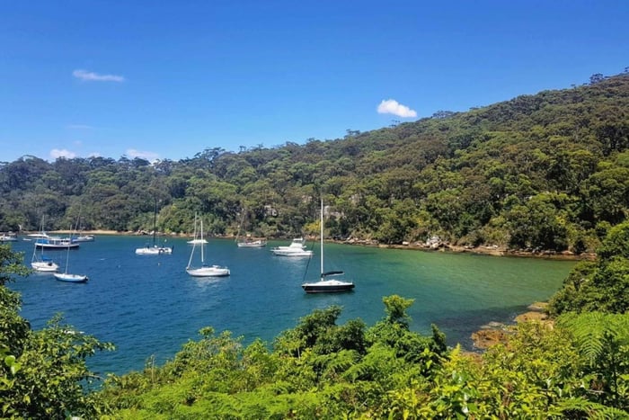 Sydney : randonnée de Taronga à Balmoral avec pique-nique et peinture