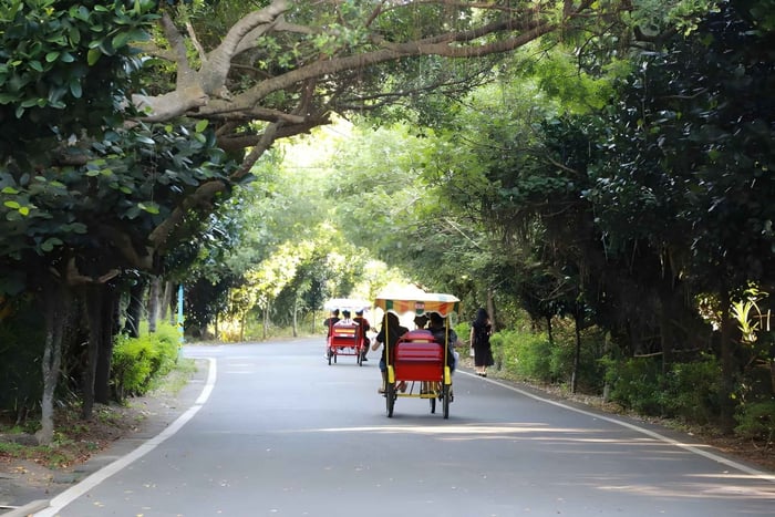 Gita di 1 giorno da Taipei: in bici sulla costa, railbike e spa allo zenzero