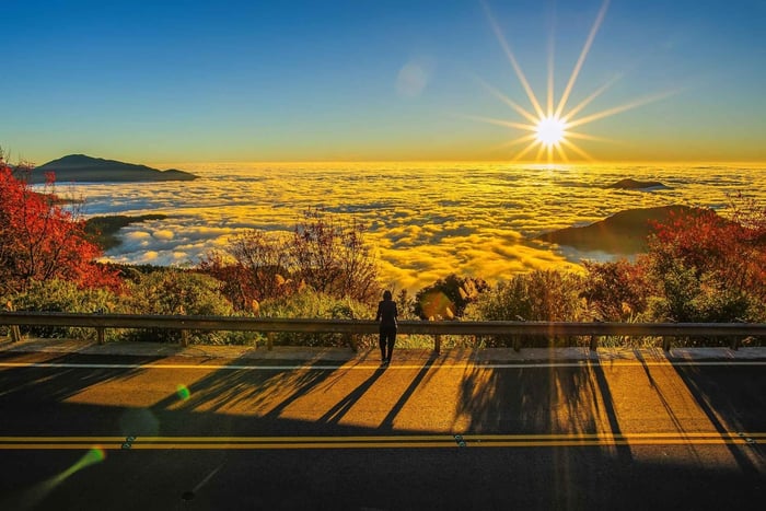 Dalla città di Taipei: tour privato di 3 giorni del Lago Sun Moon e di Alishan