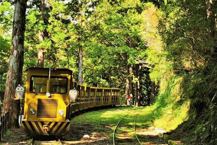 Desde Taipei: Excursión privada de un día al Bosque Nacional de Taipingshan
