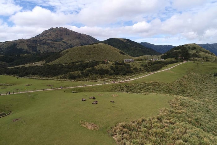 Taipeh: Yangmingshan & Nationales Palastmuseum – Tagestour