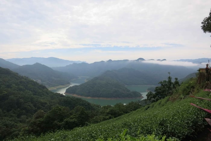 Thousand Island Lake and Pinglin Tea Plantation