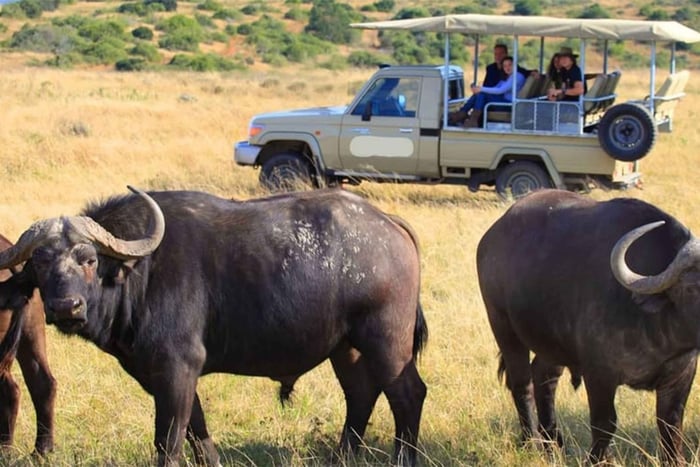 Safari d'une journée au parc national de Tarangire en Tanzanie - Arusha