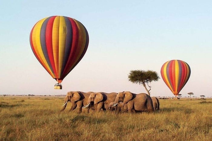 12 Day Kenya Tanzania Big Five, Culture & Photography Safari