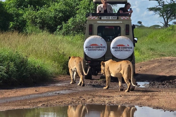 2 days safari Tarangire &Ngorongoro crater (private/joining)